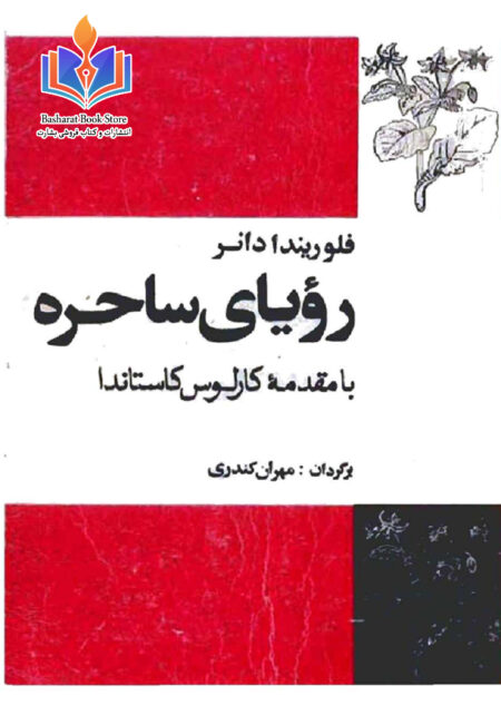 رویای ساحره