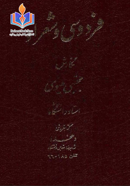 فردوسی و شعر او