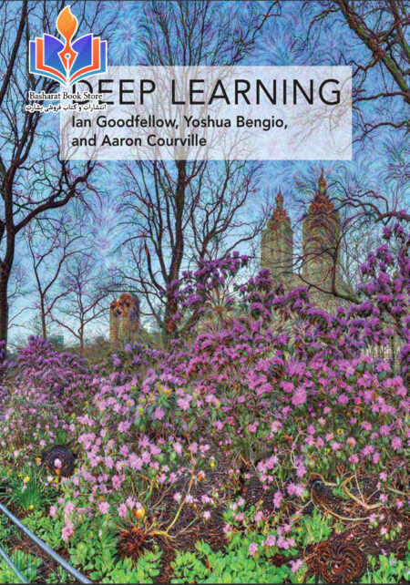 Deep Learning, The MIT Press, 2016
