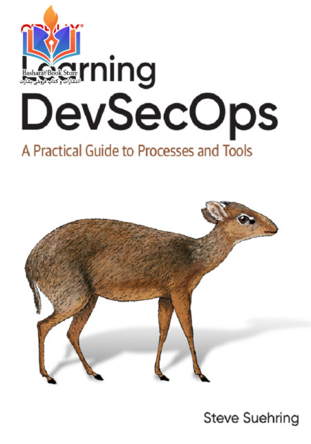 Learning DevSecOps