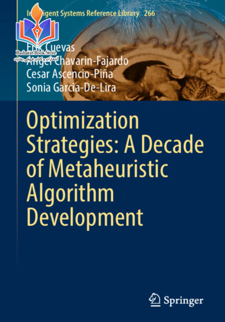 Optimization Strategies A Decade of Metaheuristic Algorithm Development