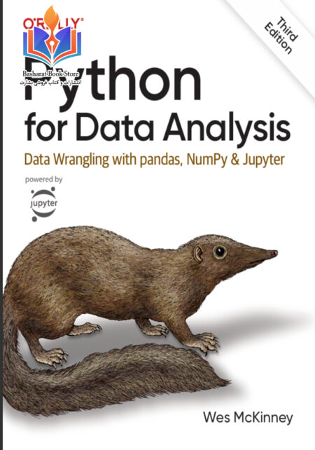 Python for Data Analysis