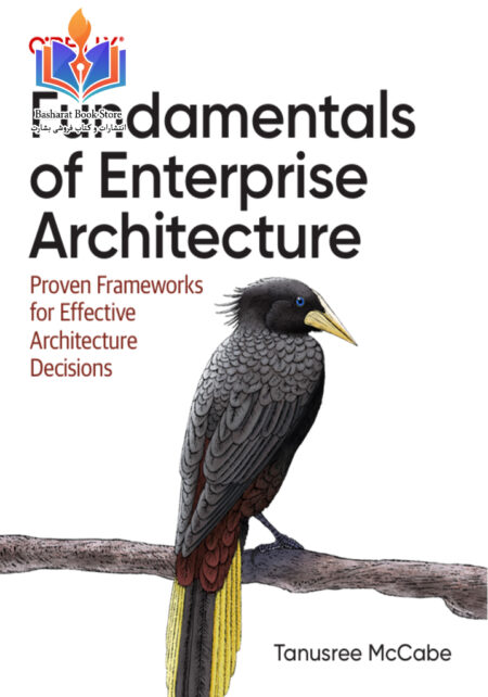 Tanu McCabe Fundamentals of Enterprise Architecture Proven Frameworks